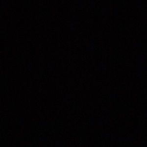 Meet your Posher, Jayla